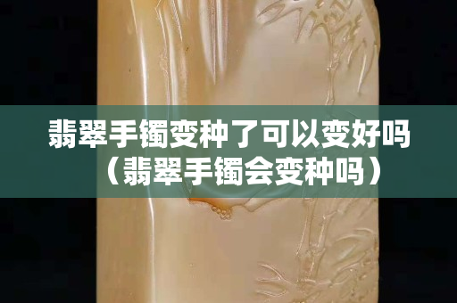 翡翠手鐲變種了可以變好嗎（翡翠手鐲會(huì)變種嗎）