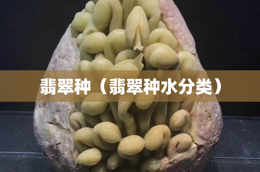 翡翠種（翡翠種水分類）