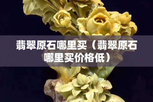 翡翠原石哪里買（翡翠原石哪里買價格低）