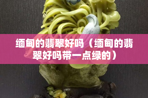 緬甸的翡翠好嗎（緬甸的翡翠好嗎帶一點綠的）