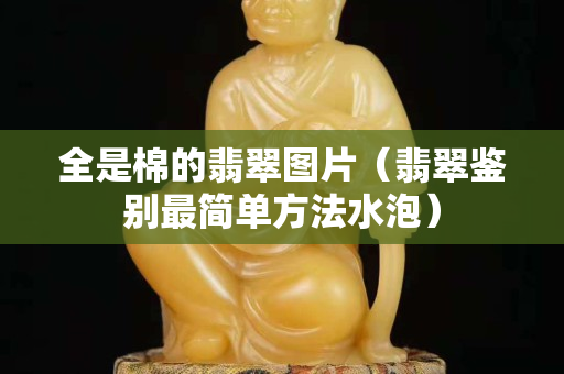 全是棉的翡翠圖片（翡翠鑒別最簡單方法水泡）
