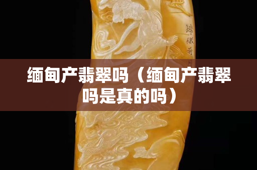 緬甸產(chǎn)翡翠嗎（緬甸產(chǎn)翡翠嗎是真的嗎）