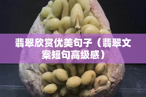 翡翠欣賞優(yōu)美句子（翡翠文案短句高級感）