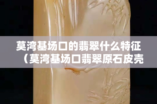 莫灣基場口的翡翠什么特征（莫灣基場口翡翠原石皮殼特征）