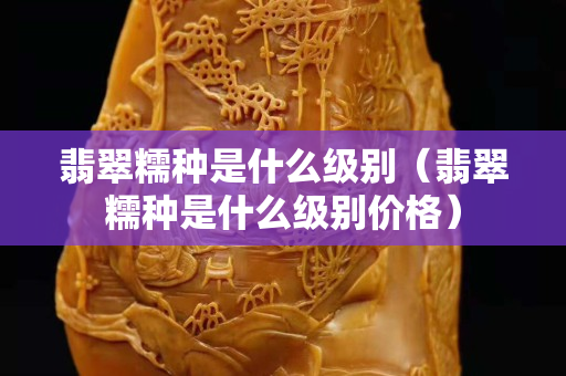 翡翠糯種是什么級別（翡翠糯種是什么級別價格）
