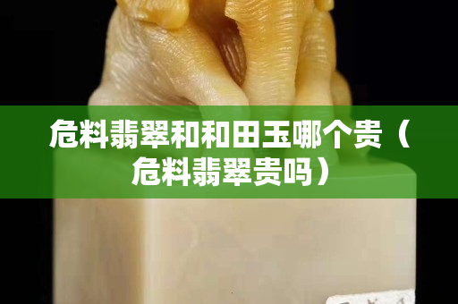 危料翡翠和和田玉哪個貴（危料翡翠貴嗎）