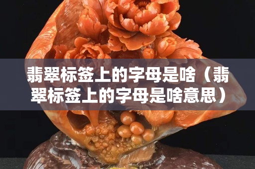 翡翠標簽上的字母是啥（翡翠標簽上的字母是啥意思）