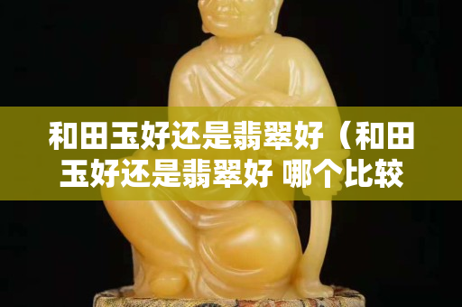 和田玉好還是翡翠好（和田玉好還是翡翠好 哪個比較貴一點啊）