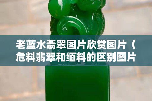 老藍水翡翠圖片欣賞圖片（危料翡翠和緬料的區別圖片）