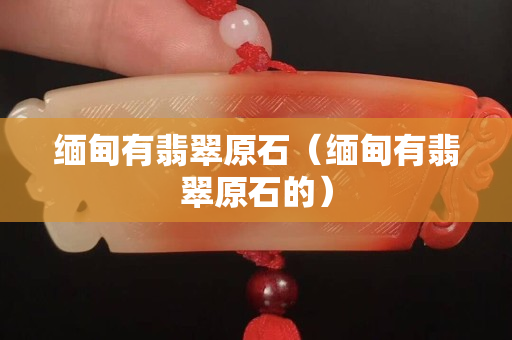 緬甸有翡翠原石（緬甸有翡翠原石的）