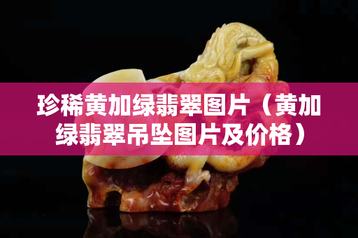 珍稀黃加綠翡翠圖片（黃加綠翡翠吊墜圖片及價格）