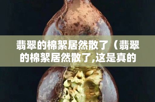 翡翠的棉絮居然散了（翡翠的棉絮居然散了,這是真的嗎琥珀蜜蠟寶閣）