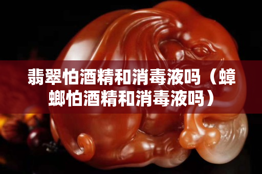 翡翠怕酒精和消毒液嗎（蟑螂怕酒精和消毒液嗎）