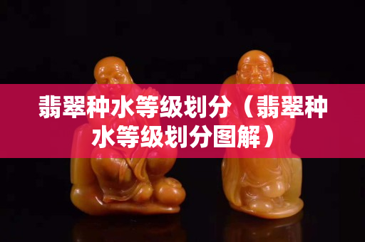翡翠種水等級劃分（翡翠種水等級劃分圖解）