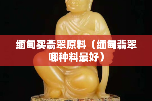 緬甸買翡翠原料（緬甸翡翠哪種料最好）