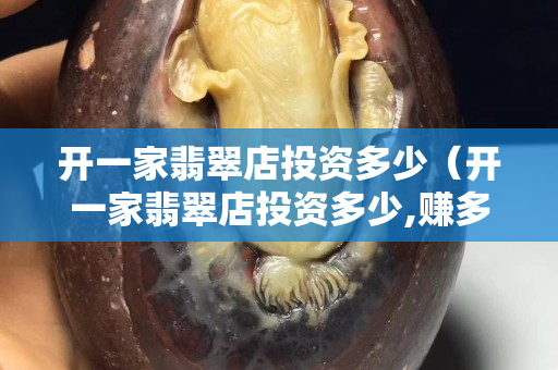 開一家翡翠店投資多少（開一家翡翠店投資多少,賺多少要交多少稅）