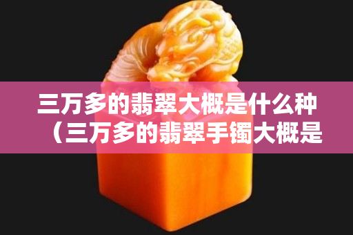 三萬多的翡翠大概是什么種（三萬多的翡翠手鐲大概是什么種）