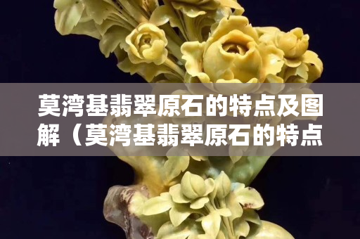 莫灣基翡翠原石的特點及圖解（莫灣基翡翠原石的特點及圖解視頻）