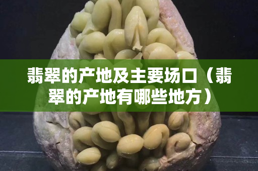 翡翠的產地及主要場口（翡翠的產地有哪些地方）