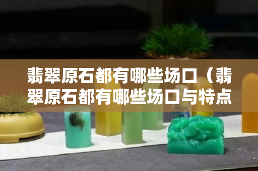 翡翠原石都有哪些場口（翡翠原石都有哪些場口與特點）
