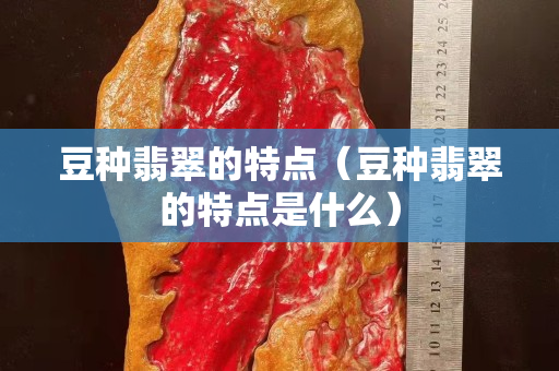 豆種翡翠的特點（豆種翡翠的特點是什么）