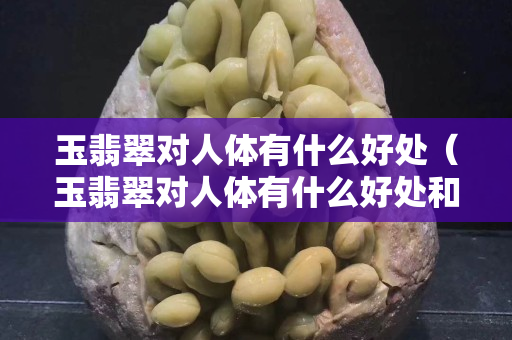 玉翡翠對人體有什么好處（玉翡翠對人體有什么好處和壞處）