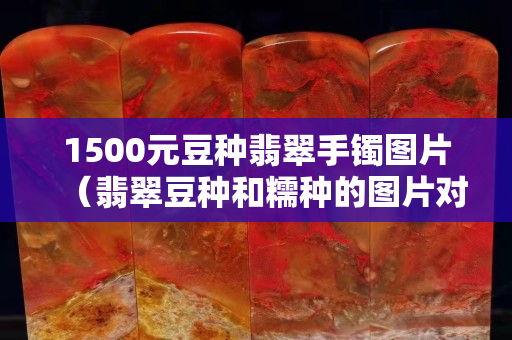 1500元豆種翡翠手鐲圖片（翡翠豆種和糯種的圖片對比）