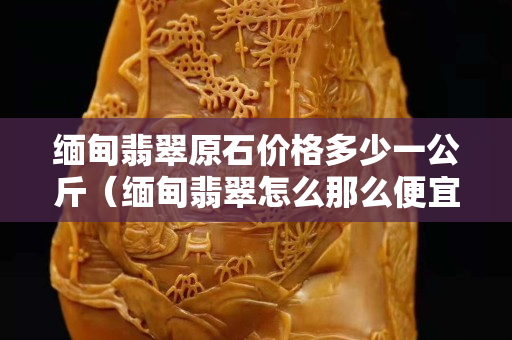 緬甸翡翠原石價格多少一公斤（緬甸翡翠怎么那么便宜）