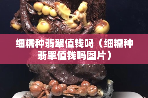 細糯種翡翠值錢嗎（細糯種翡翠值錢嗎圖片）