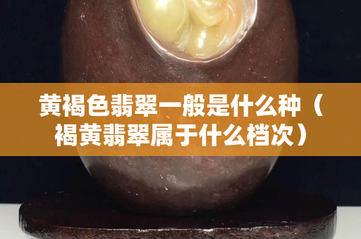 黃褐色翡翠一般是什么種（褐黃翡翠屬于什么檔次）
