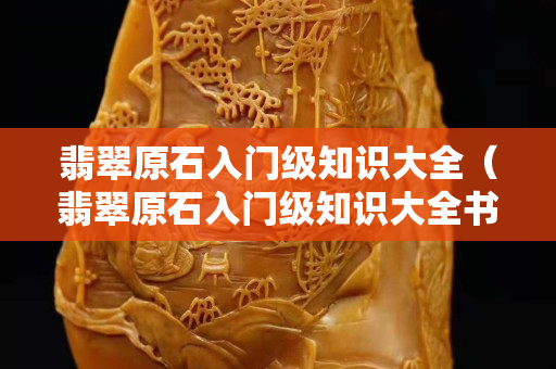 翡翠原石入門級知識大全（翡翠原石入門級知識大全書籍）