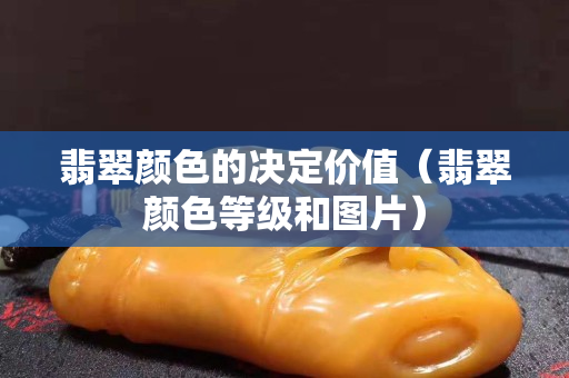 翡翠顏色的決定價(jià)值（翡翠顏色等級和圖片）