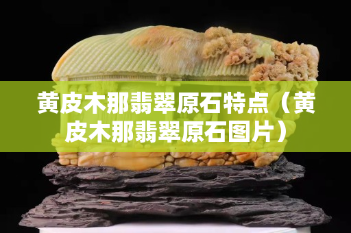 黃皮木那翡翠原石特點（黃皮木那翡翠原石圖片）