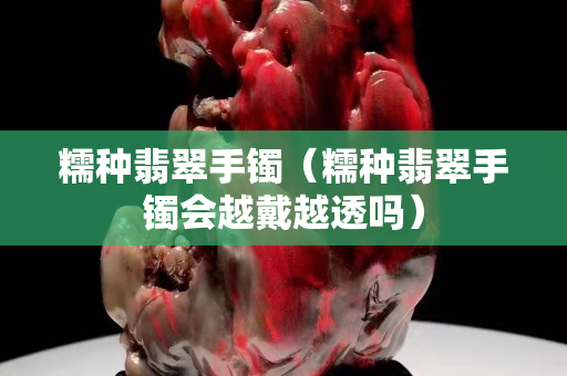 糯種翡翠手鐲（糯種翡翠手鐲會越戴越透嗎）