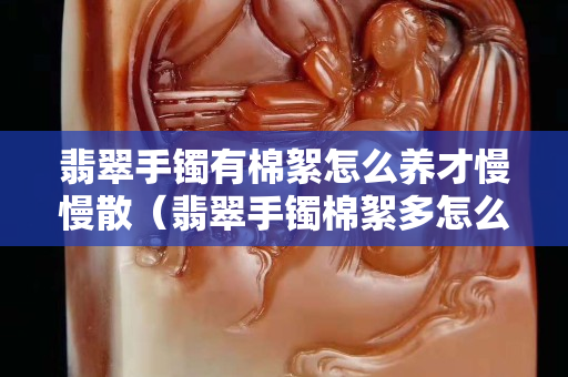翡翠手鐲有棉絮怎么養(yǎng)才慢慢散（翡翠手鐲棉絮多怎么養(yǎng)才能透）