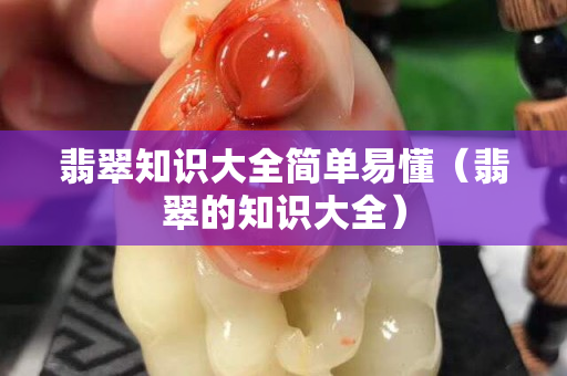 翡翠知識大全簡單易懂（翡翠的知識大全）