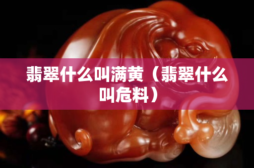 翡翠什么叫滿黃（翡翠什么叫危料）