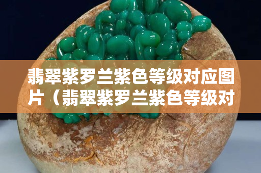 翡翠紫羅蘭紫色等級對應圖片（翡翠紫羅蘭紫色等級對應圖片 顏色）