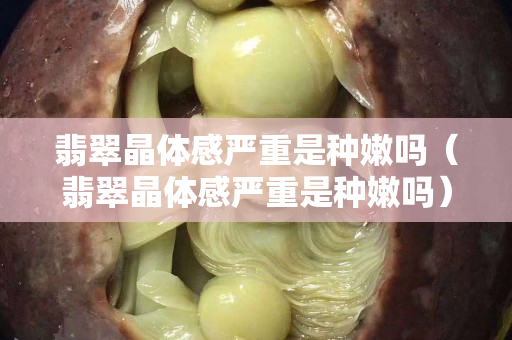 翡翠晶體感嚴重是種嫩嗎（翡翠晶體感嚴重是種嫩嗎）