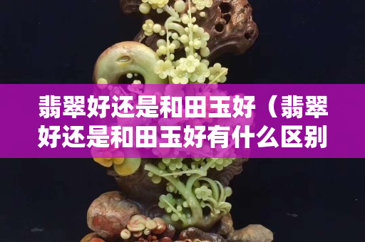 翡翠好還是和田玉好（翡翠好還是和田玉好有什么區別）