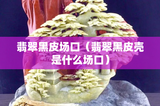 翡翠黑皮場口（翡翠黑皮殼是什么場口）