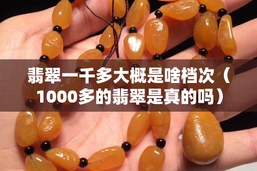 翡翠一千多大概是啥檔次（1000多的翡翠是真的嗎）