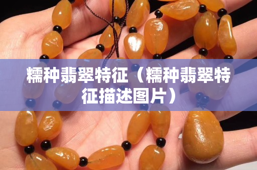 糯種翡翠特征（糯種翡翠特征描述圖片）