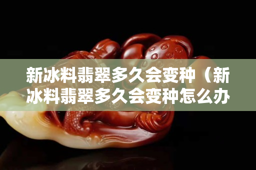 新冰料翡翠多久會(huì)變種（新冰料翡翠多久會(huì)變種怎么辦）