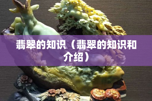 翡翠的知識(shí)（翡翠的知識(shí)和介紹）