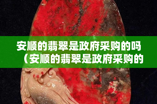 安順的翡翠是政府采購的嗎（安順的翡翠是政府采購的嗎）