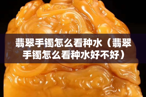 翡翠手鐲怎么看種水（翡翠手鐲怎么看種水好不好）