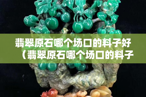 翡翠原石哪個場口的料子好（翡翠原石哪個場口的料子好又大）