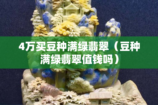 4萬買豆種滿綠翡翠（豆種滿綠翡翠值錢嗎）