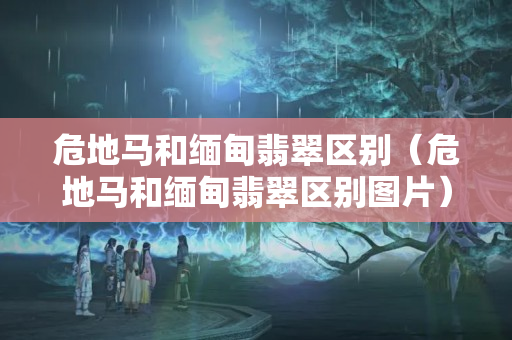 危地馬和緬甸翡翠區(qū)別（危地馬和緬甸翡翠區(qū)別圖片）